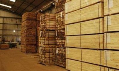 Proponen crear el Instituto Provincial de la Madera para mejor explotaci�n maderera
