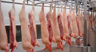Complicada situaci�n de los productores de cerdo
