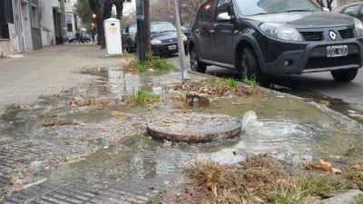 En Plaza Paso est�n hartos de vivir entre desperdicios cloacales