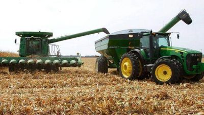 Entusiasma en el campo la reactivacin del trigo