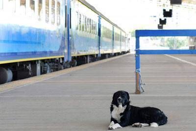 Por problemas en un puente y en los durmientes de las v�as, el tren hace 9 meses que no llega