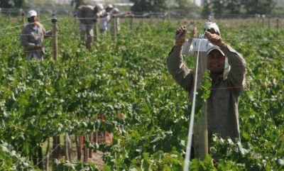 Lanzan 400 millones en cr�ditos para los productores mendocinos