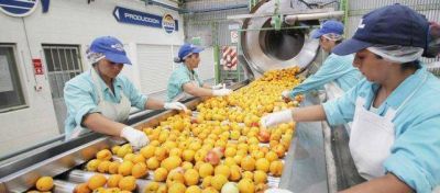 Los costos de luz y gas jaquean la agroindustria alvearense