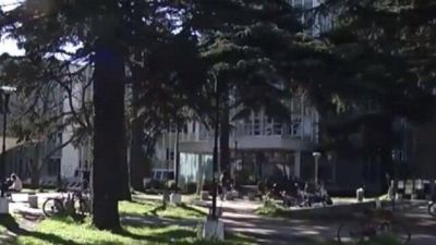 La Universidad Nacional de Mar del Plata tampoco dictar� clases