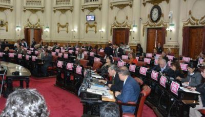 La Comisi�n de G�nero aprob� un solo proyecto