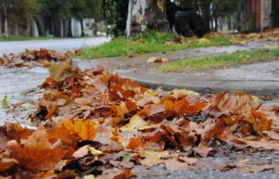 La suciedad de las calles pone en peligro el sistema cloacal y pluvial