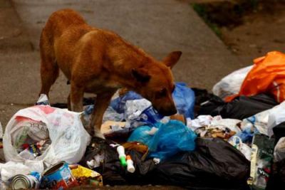 Tartagal trabaja en la aplicaci�n de multas para infractores 