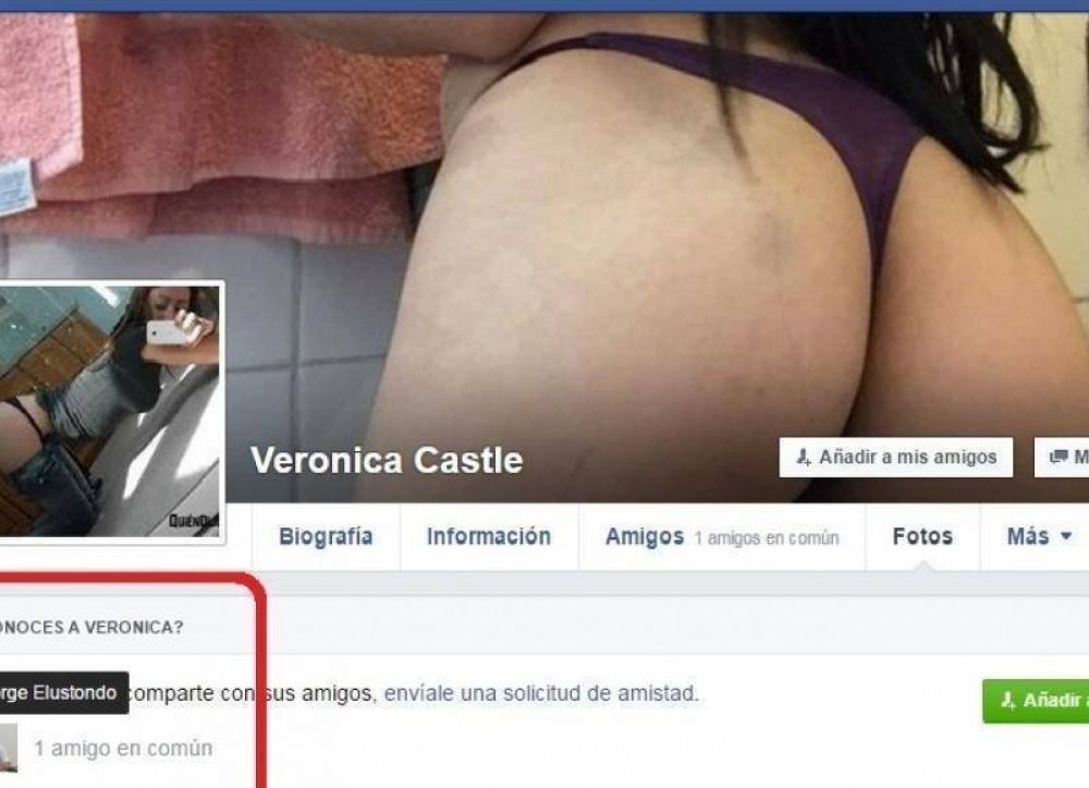 Elustondo, el ministro de Vidal que suma travestis a su Face y quiere demostrar que la tiene larga