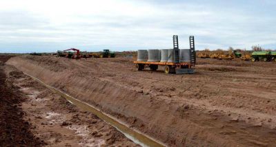 Avanza un mega proyecto ganadero en Neuqu�n