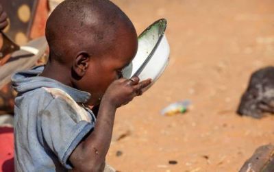 La Santa Sede en la FAO: Un alimento perdido es un alimento robado a los pobres