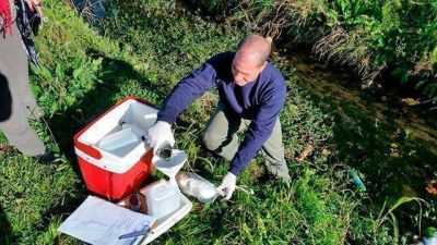 Se realizaron tareas de saneamiento ambiental en el Parque Industrial