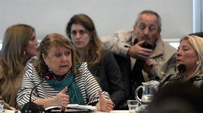 Susana Malcorra, en Diputados: 