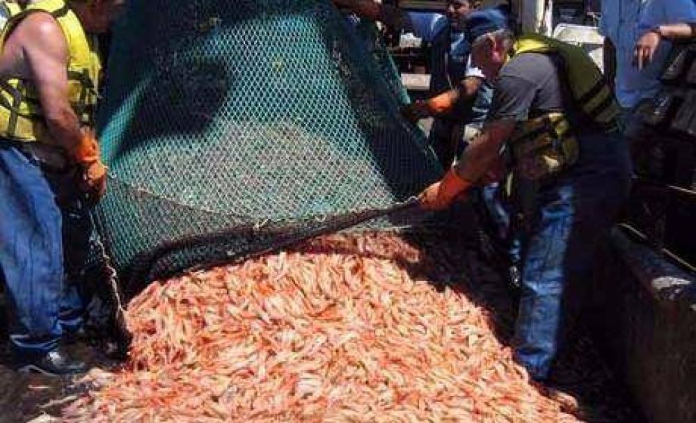 Las inc�gnitas del langostino