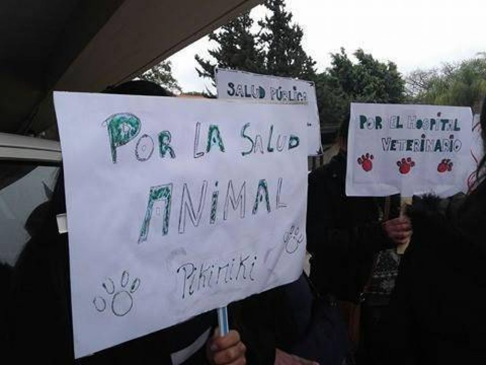 Proteccionistas pidieron la aprobaci�n del hospital veterinario p�blico