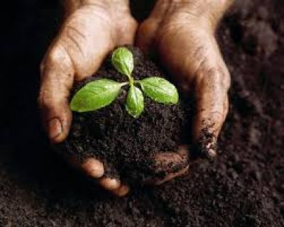 Corrientes avanza hacia la propuesta de la agroecolog�a