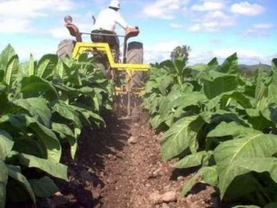  Salta, entre las diez provincias que m�s bienes exporta