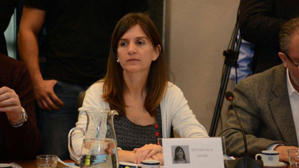 Contin�an trabajando por la Ley de Sociedades de Fomento