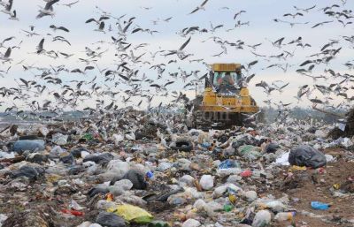 Buscan alternativas al promediar la vida �til del relleno sanitario