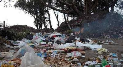 Se conmemor�  el D�a mundial del Medio Ambiente
