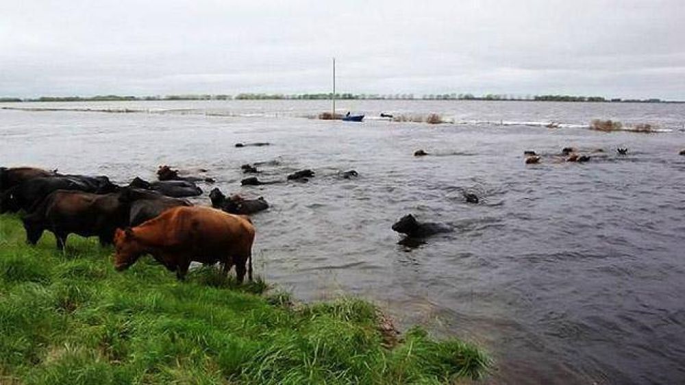Inundaciones: extienden plazos a productores para pedir exenciones	