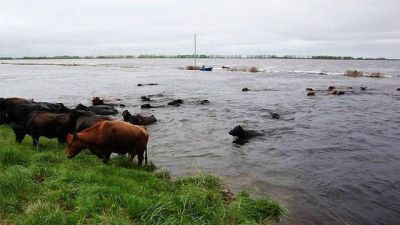 Inundaciones: extienden plazos a productores para pedir exenciones	