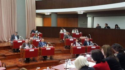 Legisladores fueguinos participaron de la primera sesi�n