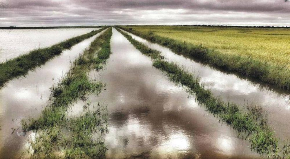 La provincia asegura que Naci�n no cumpli� con la ayuda prometida