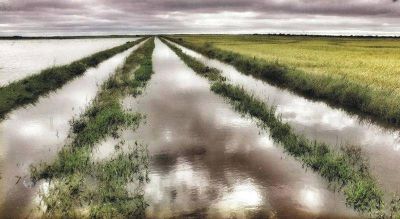 La provincia asegura que Naci�n no cumpli� con la ayuda prometida