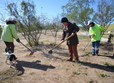 Trabajadores de Inclusi�n podr�n acceder a la Asignaci�n Universal por Hijo