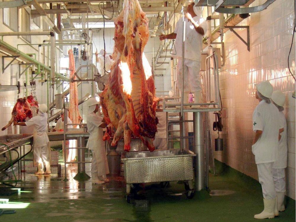No se han producido despidos entre los trabajadores de la carne