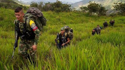 Las FARC obtuvieron USD 22,5 millones por narcotr�fico entre 1995 y 2014