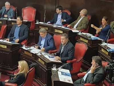 Senado: designaciones y una fusi�n peronista
