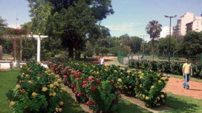 Obras comunales a sola firma