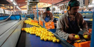 Evitan la suspensi�n del gas y garantizan la producci�n citr�cola y azucarera