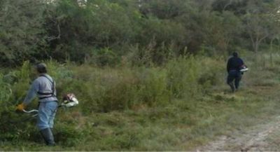 Vialidad Provincial realiza limpieza y mejoras en rutas