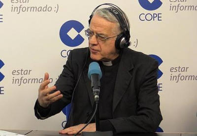 El vocero del Vaticano aclar� que nadie habla en nombre del Papa