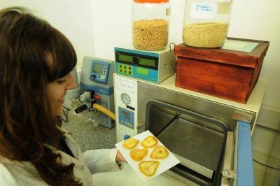 Crear�n una planta de alimentos a bajo costo en Agronom�a