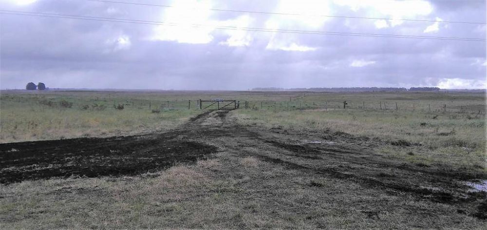 Las ltimas lluvias complican el comienzo de la siembra de trigo en General Alvarado