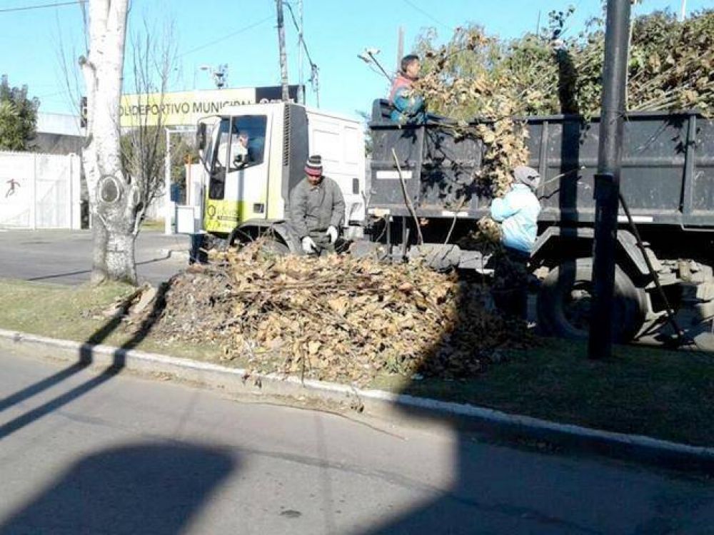Limpieza en La Colonia