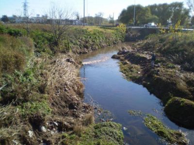 Financiar�n un proyecto para estudiar el arroyo Languey�