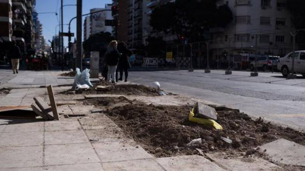 Sacan �rboles de Cabildo para construir el Metrob�s