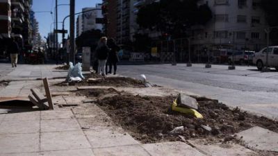Sacan �rboles de Cabildo para construir el Metrob�s