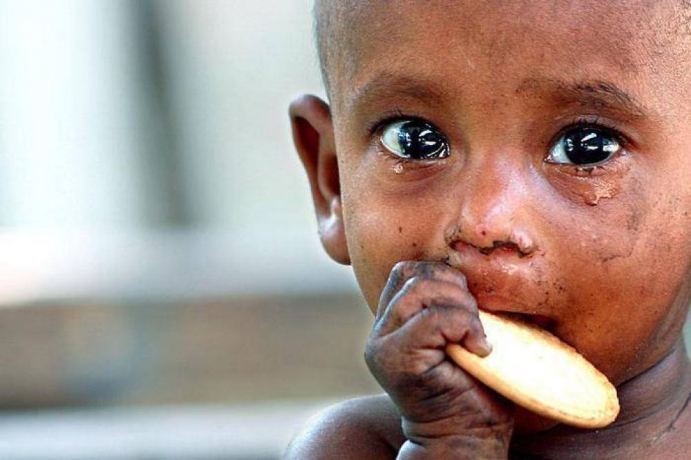 El hambre afecta todav�a a 800 millones de personas en el mundo