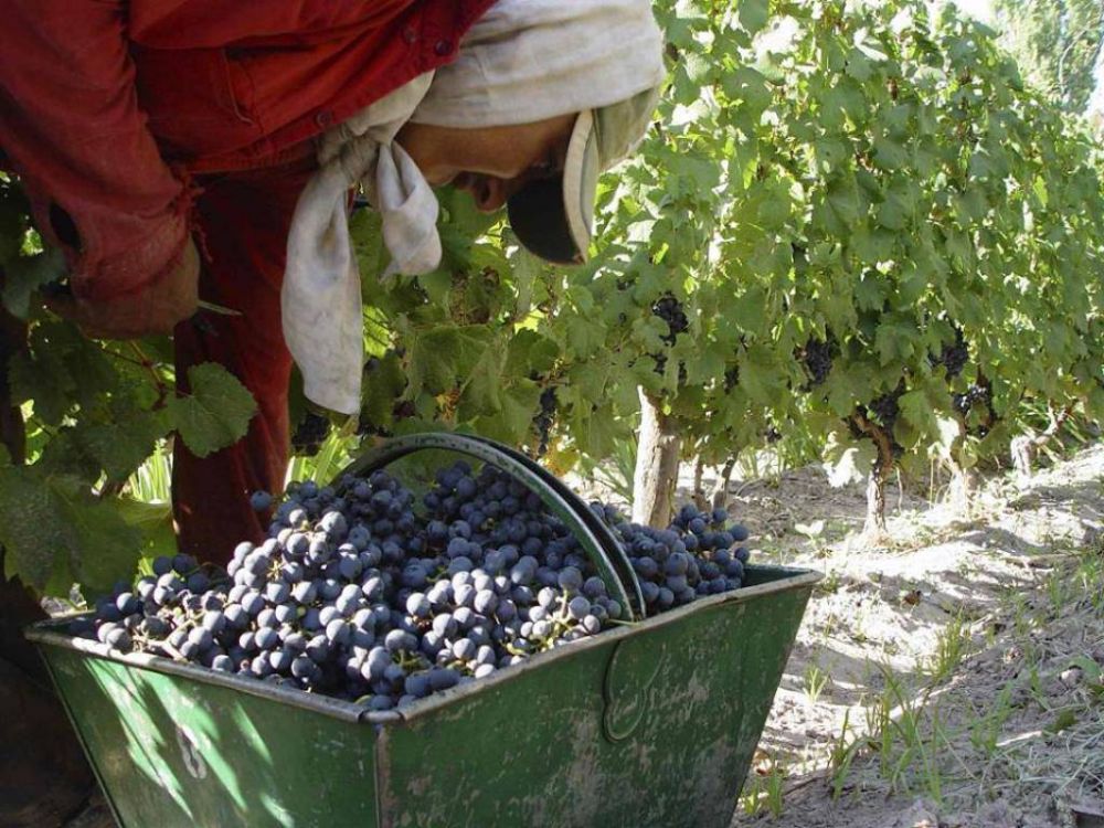Catorce bodegas deben pagar una multa de 35 millones de pesos