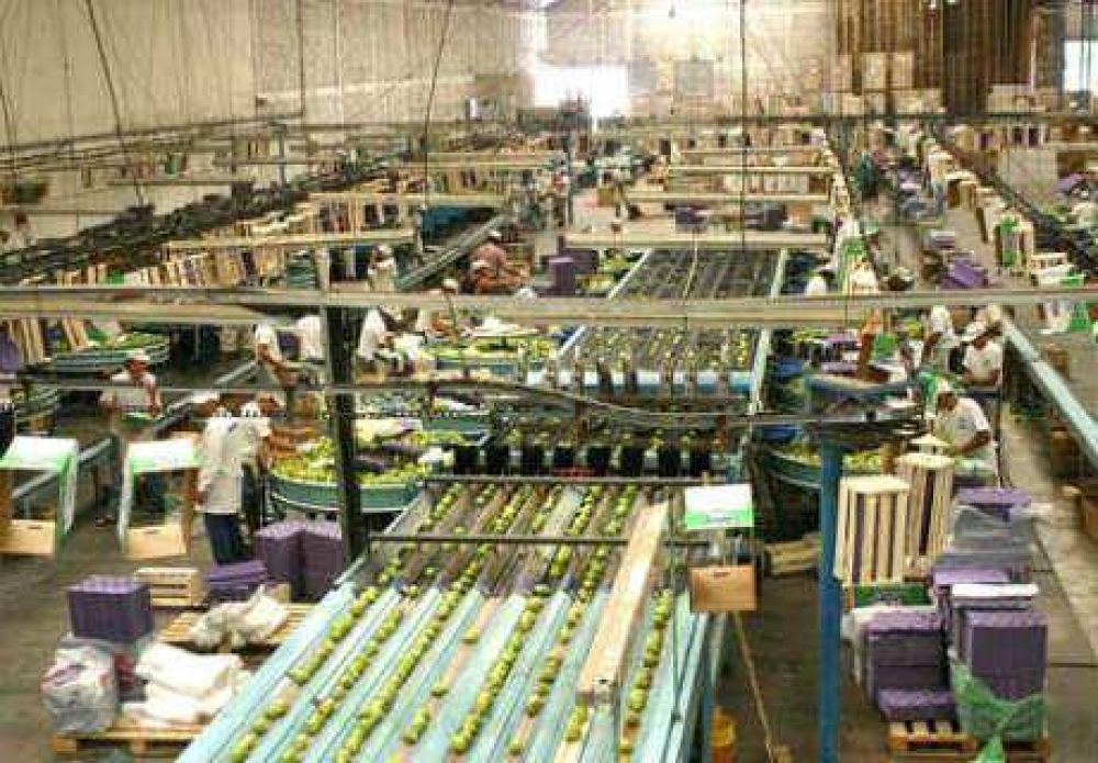 Cr�ditos por 200 millones a productores de peras y manzanas