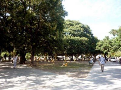 El 60% de las plazas est�n contaminadas con parasitos de perros