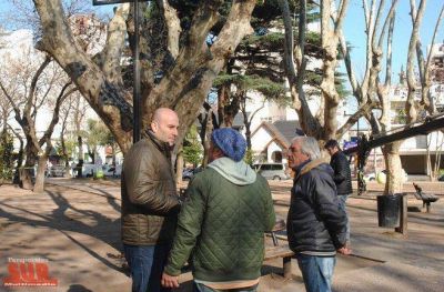 Molina recorri� los trabajos que se realizan en Plaza del Bicentenario