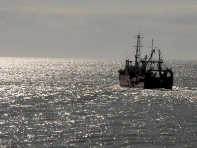 Daniel Sosa pidi� que la Secretar�a de Pesca �no haga m�s experimentos�