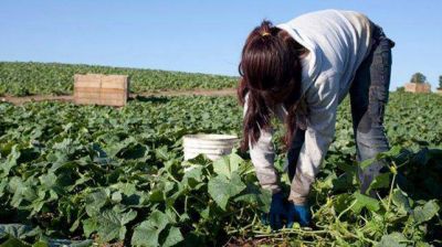Trabajo infantil en Entre R�os: en 2015 se registraron 56 denuncias
