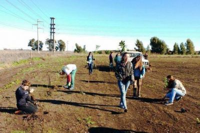 Hubo una jornada de forestaci�n en donde funcionar� el nuevo refugio canino